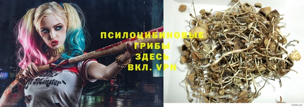 герыч Алексин