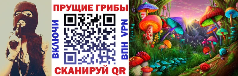 где продают наркотики  Ишим  Псилоцибиновые грибы мицелий 