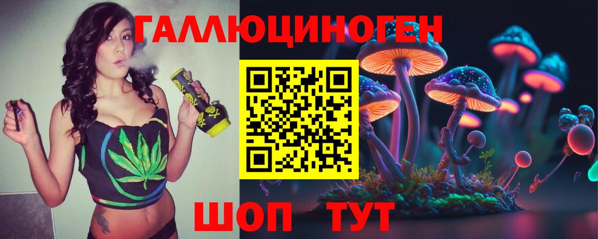 Псилоцибиновые грибы GOLDEN TEACHER  Вход с VPN  Ишим  Псилоцибиновые грибы мухоморы 